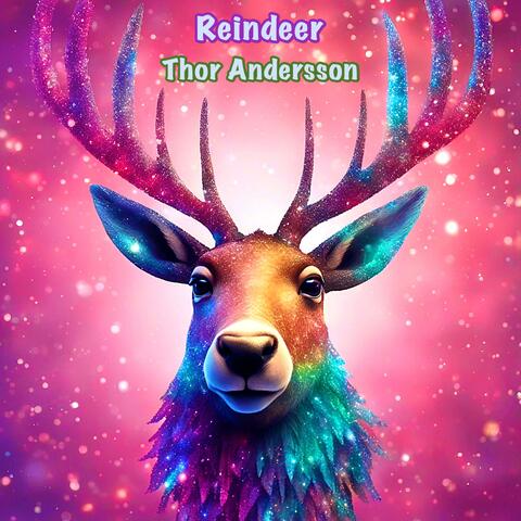 Reindeer