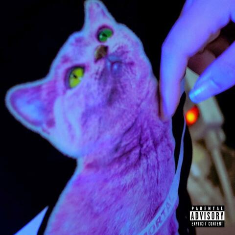 來我家看貓 (feat. Hana)