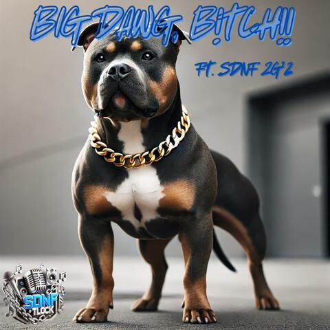 Big Dawg, Bitch! (feat. SDNF 2G’Z)