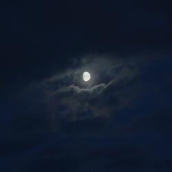 Fade Away