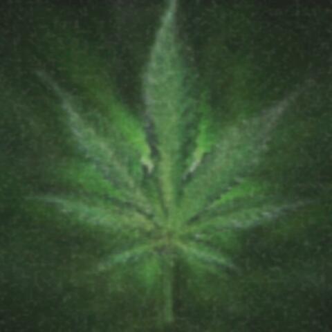 All Green, No Lie (feat. GFUNKBOY$ & DEXU$)