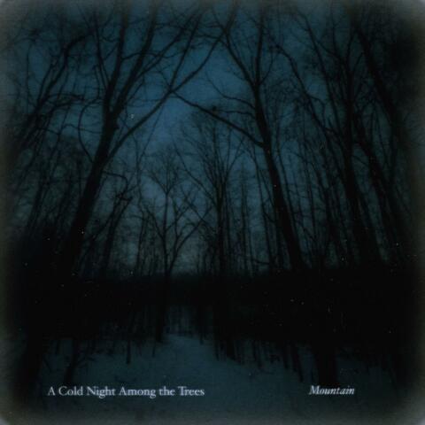 A Cold Night Among the Trees