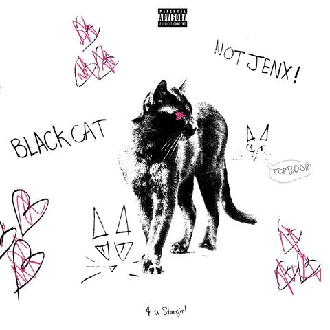 Black Cat