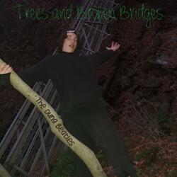 Trees, Broken Bridges, and Broken Spirits