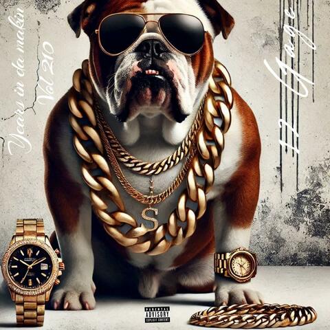 12 Gage