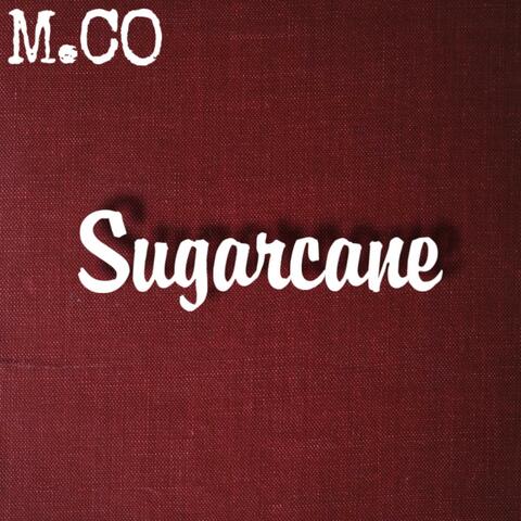 Sugarcane