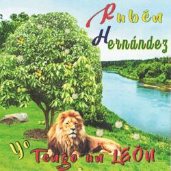 El Arbol de Pomarrosa