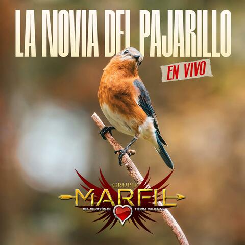 La Novia Del Pajarillo (En Vivo)