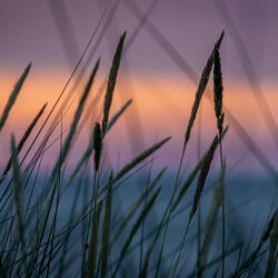 Watch The Sunset