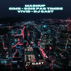 SOIS PAS TIMIDE (Mashup DJ GAET) (Radio Edit)