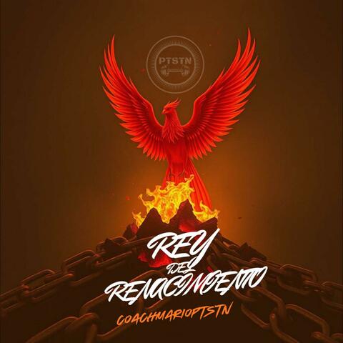 Rey Del Renacimiento