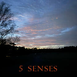 5 SENSES