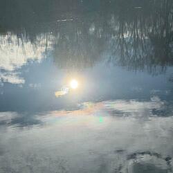 Reflections of You