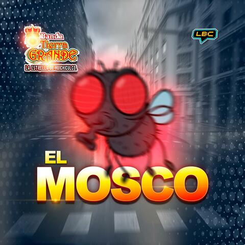 La Danza del Mosco