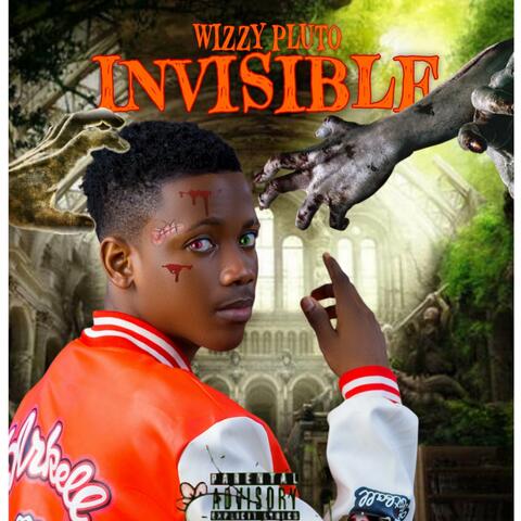 Invisible
