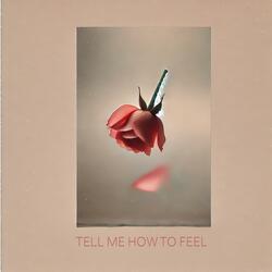 Tell Me How to Feel