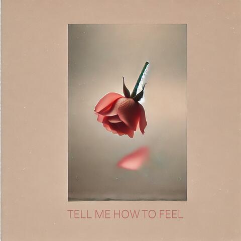 Tell Me How to Feel