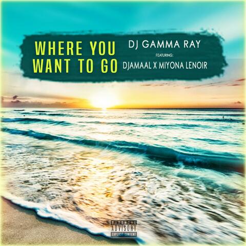 Where You Want To Go (feat. D.Jamaal & Miyona Lenoir) [Radio Edit]