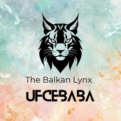 The Balkan Lynx