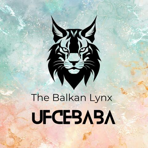 The Balkan Lynx