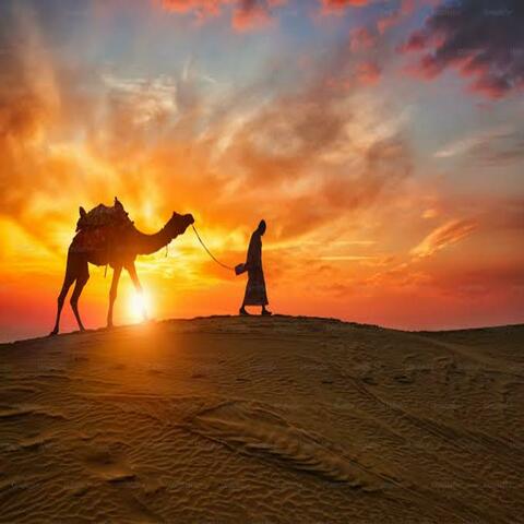 Arabic vibes