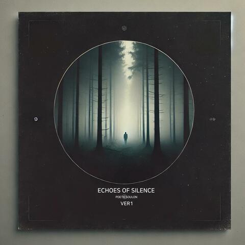 Echoes of Silence