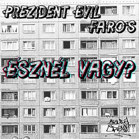 Észnél Vagy? (feat. FaRoS)