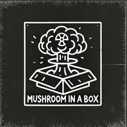 Mushrom in a Box