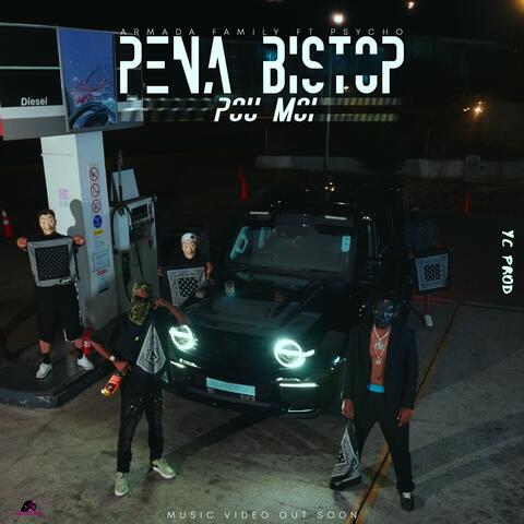 Pena bistop pu moi