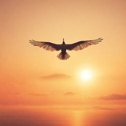 417Hz Angelic Voices Healing