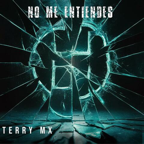 No me entiendes