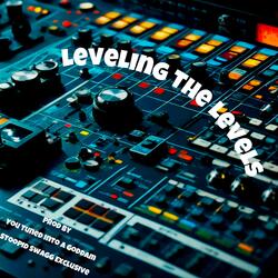 Leveling The Levels