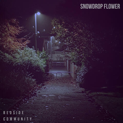 Snowdrop Flower