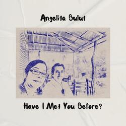 Have I Met You Before?