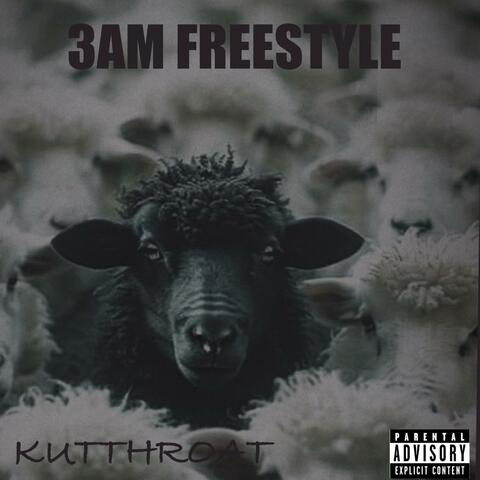 3am freestyle