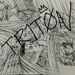 Project_TRITON