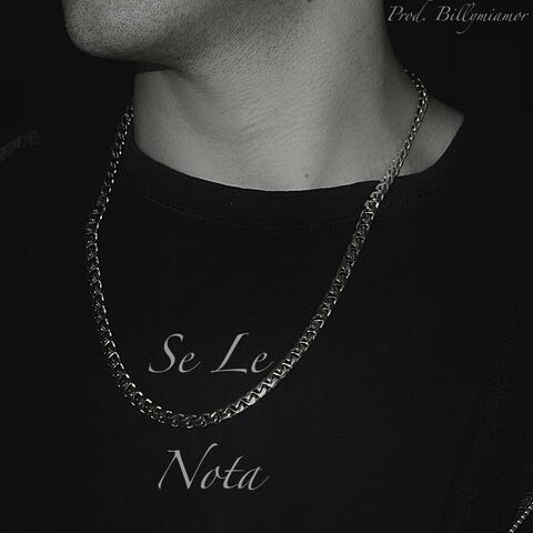 Se le nota