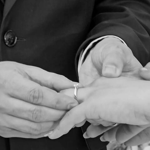 Forever Begins (Wedding Version)
