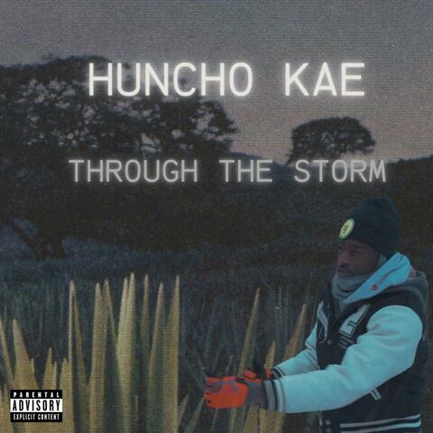 THROUGH THE STORM