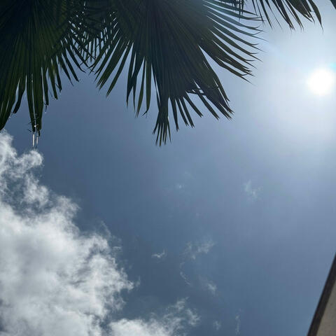 Paradise Dive