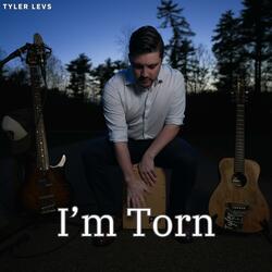 I'm Torn