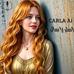 استر يا ساتر