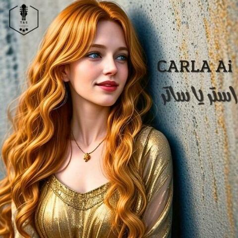 استر يا ساتر