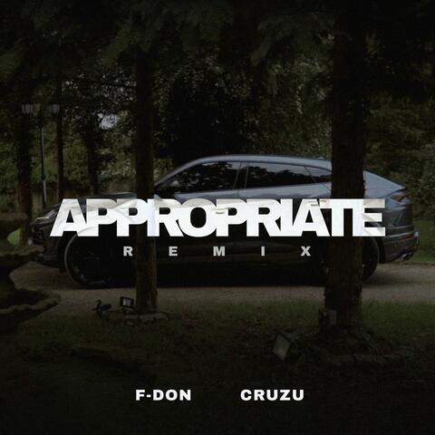 Appropriate (feat. F-Don) [Remix]