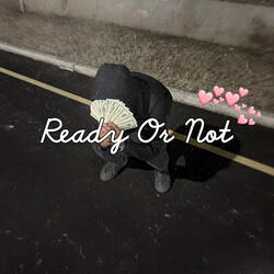 Ready Or Not