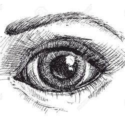 Mental Reality