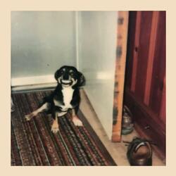 Joke's On Me (quick n dirty)