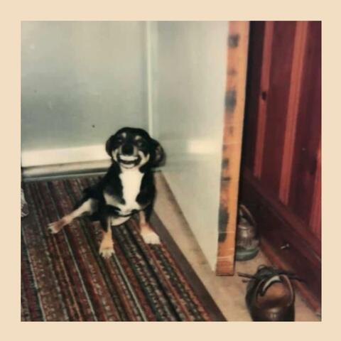 Joke's On Me (quick n dirty)