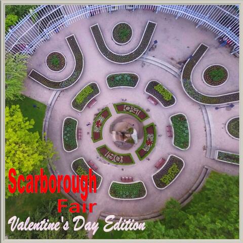 Valentinus Birthday: Laurea