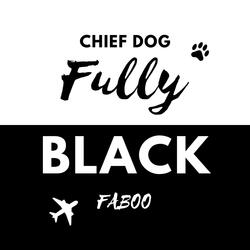 Fully Black (feat. Faboo)